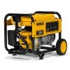 DeWalt 4000 Watt Portable Gas Generator -Outlet Sika Tools Sotre 0002379