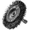 Century Coarse Crimped Radial Wire Brush 3 In. X 1/4 In.