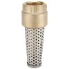 Star Water Systems Brass Foot Valve 1 1/4 In.