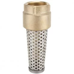 Star Water Systems Brass Foot Valve 1 In.