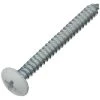 Screws For Shelf Standard 254