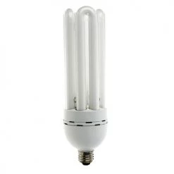 Fluorescent Bulb With Self Ballast 65 Watt