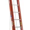 Werner Type IA Fiberglass D-Rung Extension Ladder 24 Ft.